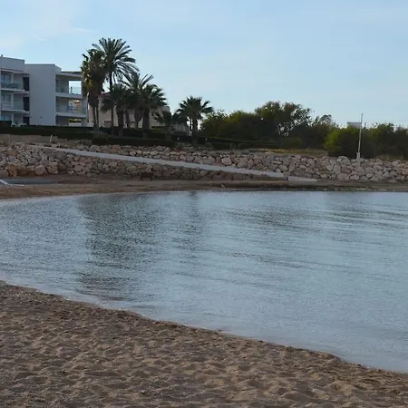 Gold Protaras